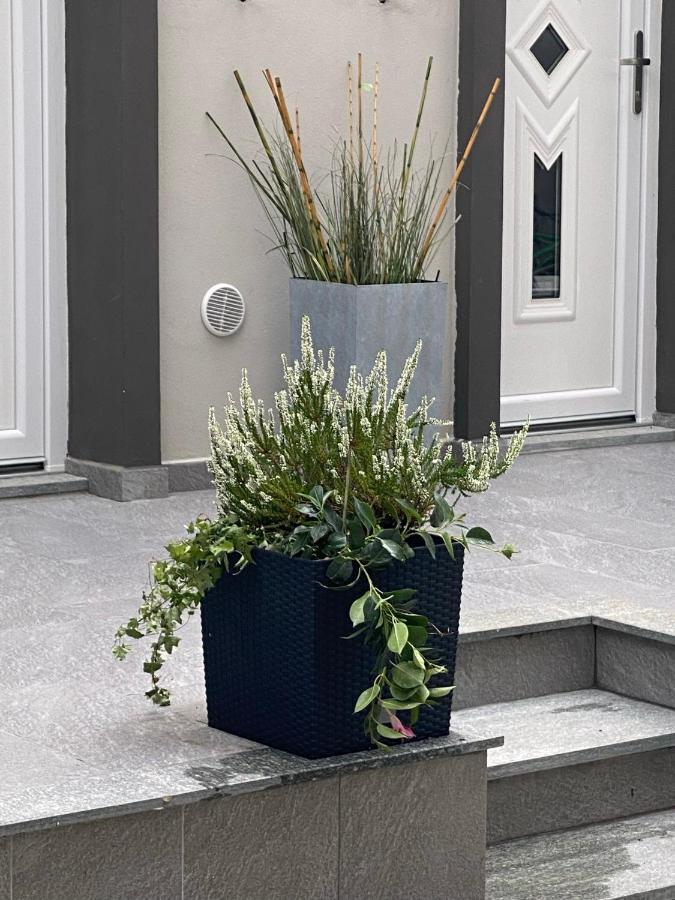 Decoluxe !Apartamento Con 1 Camera Da Letto , In Zona San Paolo , Via Martiniana Turim Exterior foto